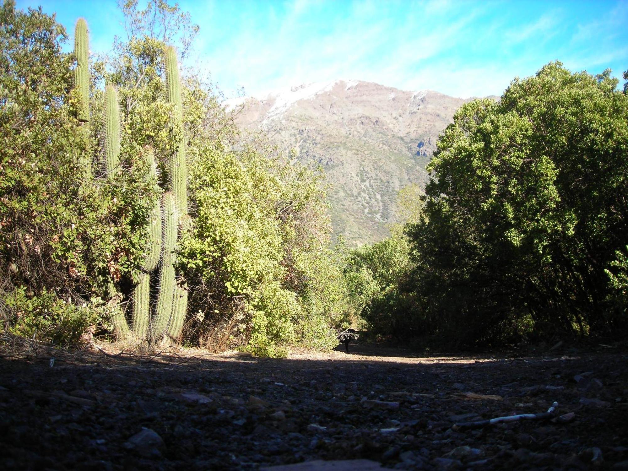 Las Lomitas De Guayacan, Cabanas Y Spa San José de Maipo Exterior foto